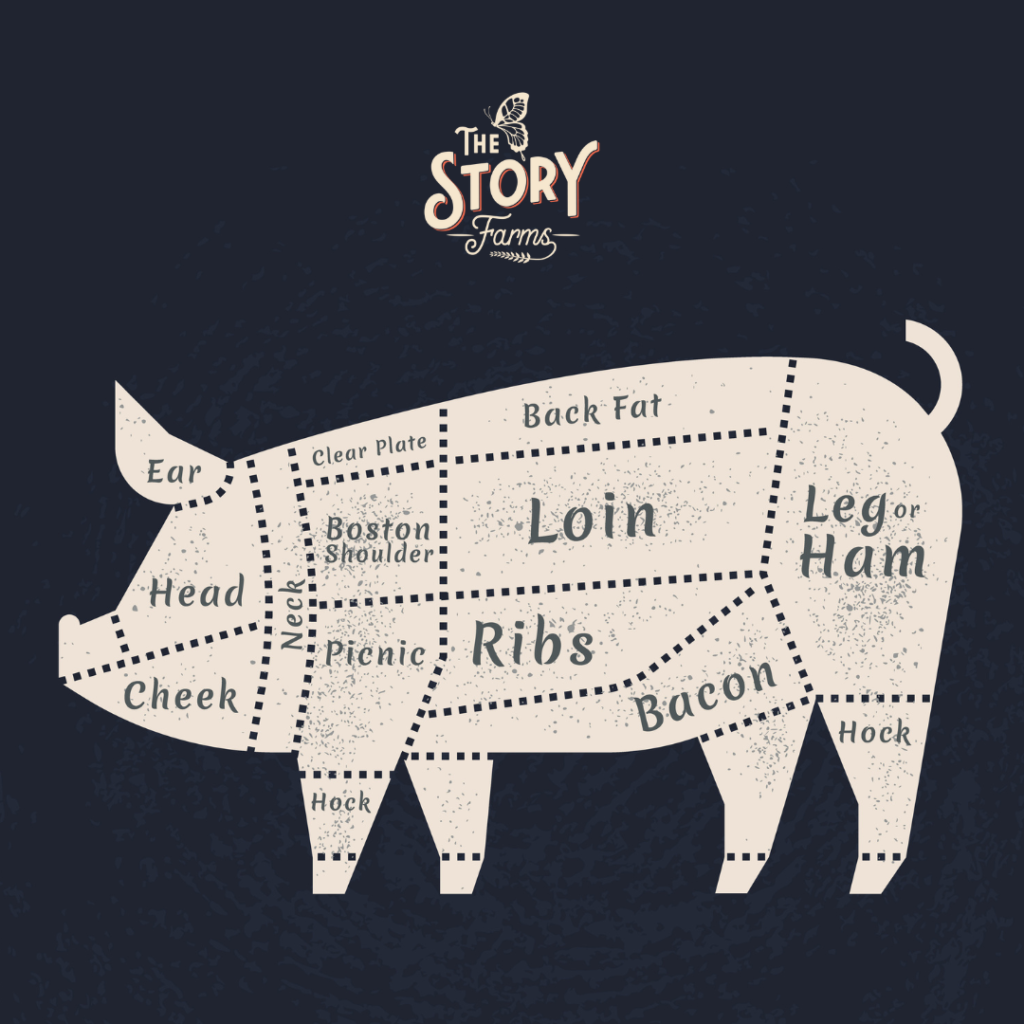 Meat Box Shop Bristol Meat Boxes Delivered To Your Door